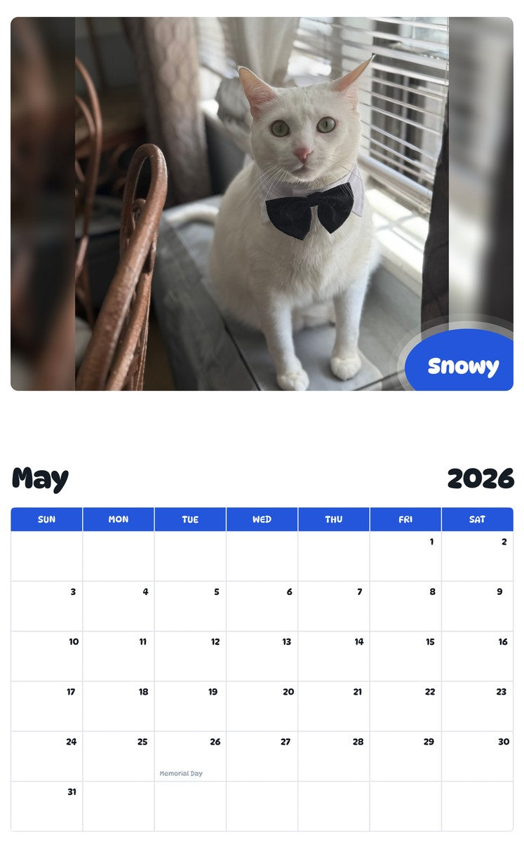 2026 - 2027 Snowy - Pawidols Pet Calendar