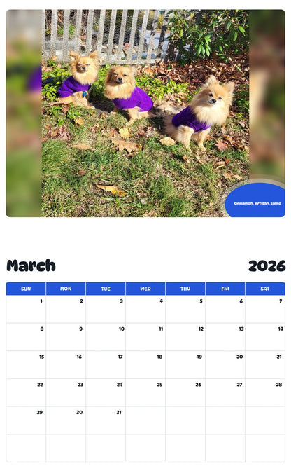 November 2025 - October 2026 Cinnamon,  Artisan, Sable - Pawidols Pet Calendar