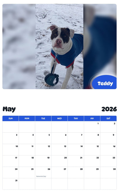 2026 - 2027 Teddy - Pawidols Pet Calendar
