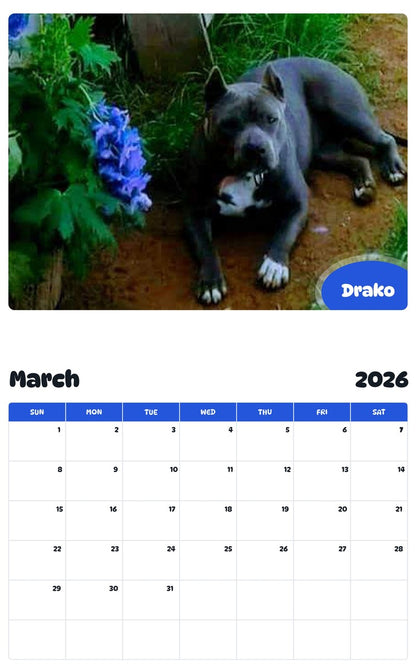 November 2025 - October 2026 Drako - Pawidols Pet Calendar
