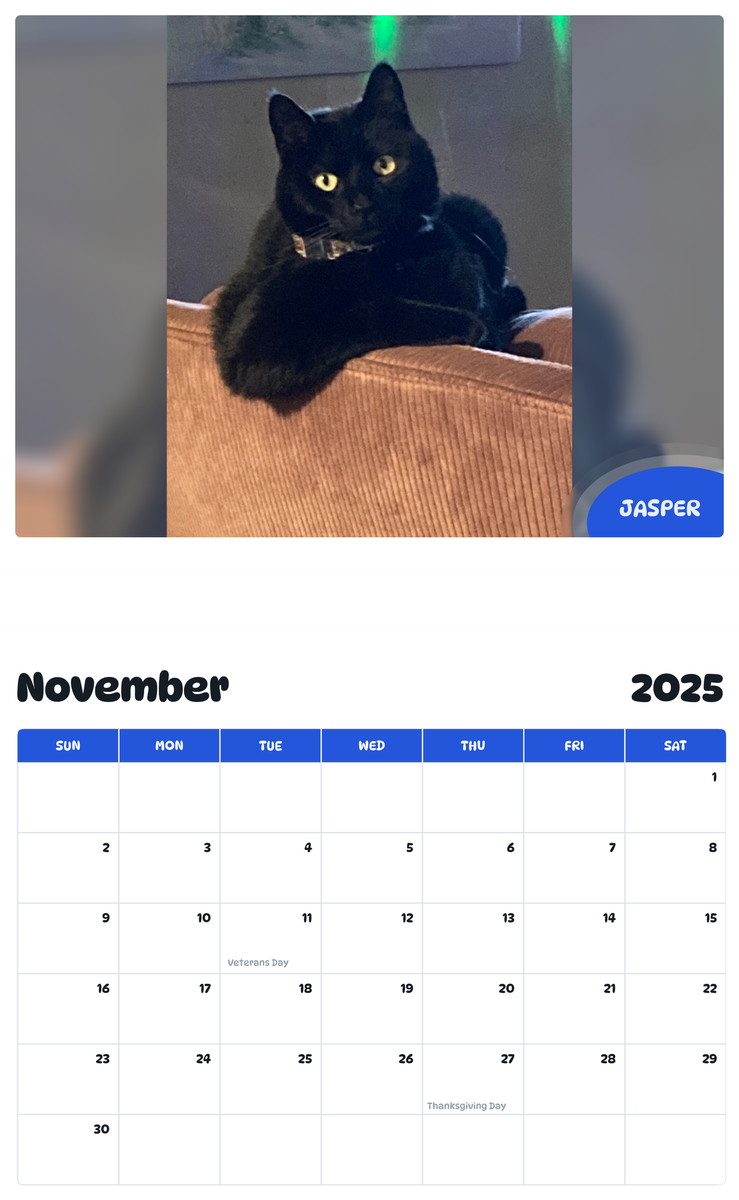 July 2025 - June 2026 Jasper - Pawidols Pet Calendar