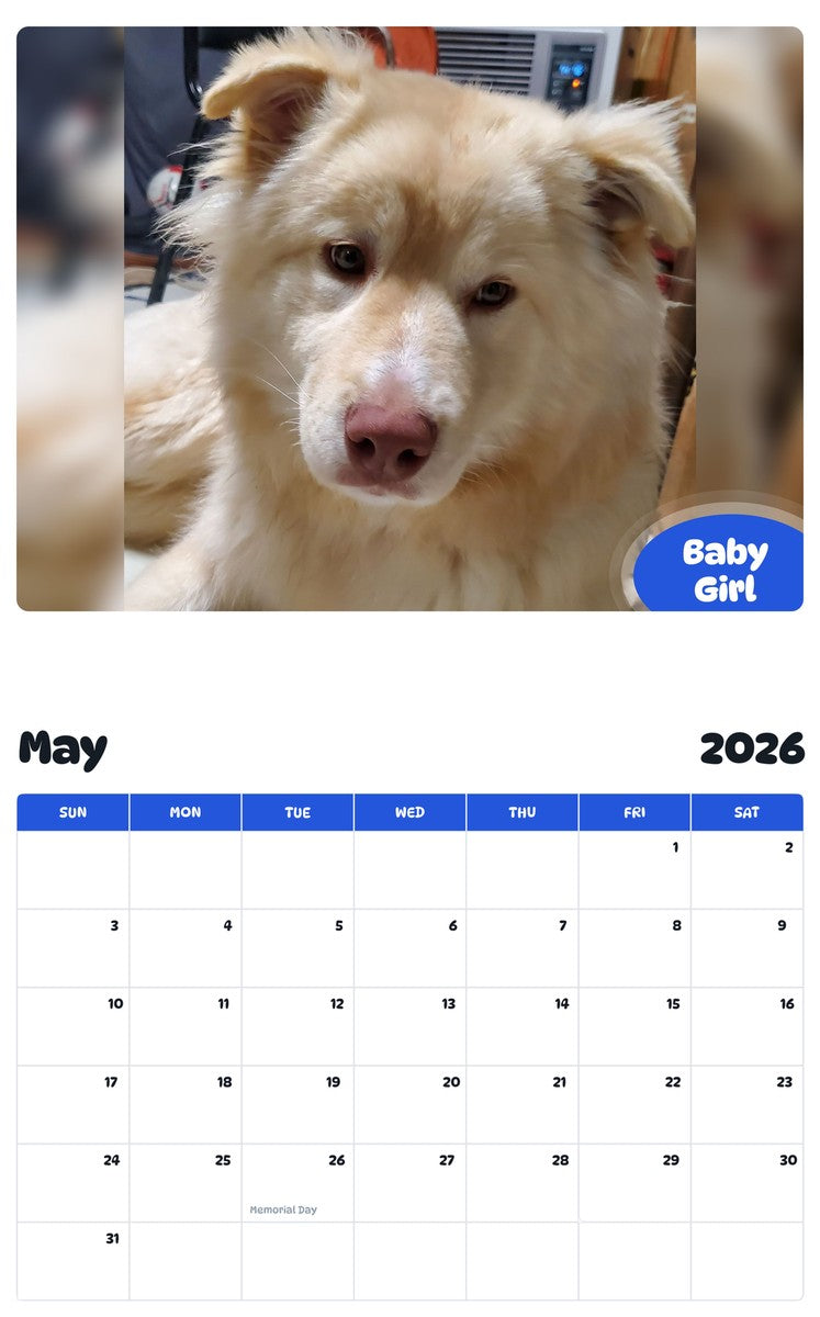 2026 - 2027 Baby Girl - Pawidols Pet Calendar