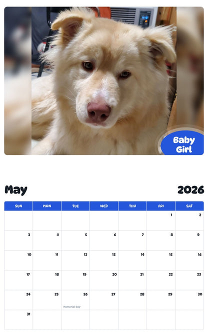2026 - 2027 Baby Girl - Pawidols Pet Calendar
