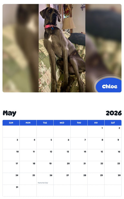 2026 - 2027 Chloe - Pawidols Pet Calendar