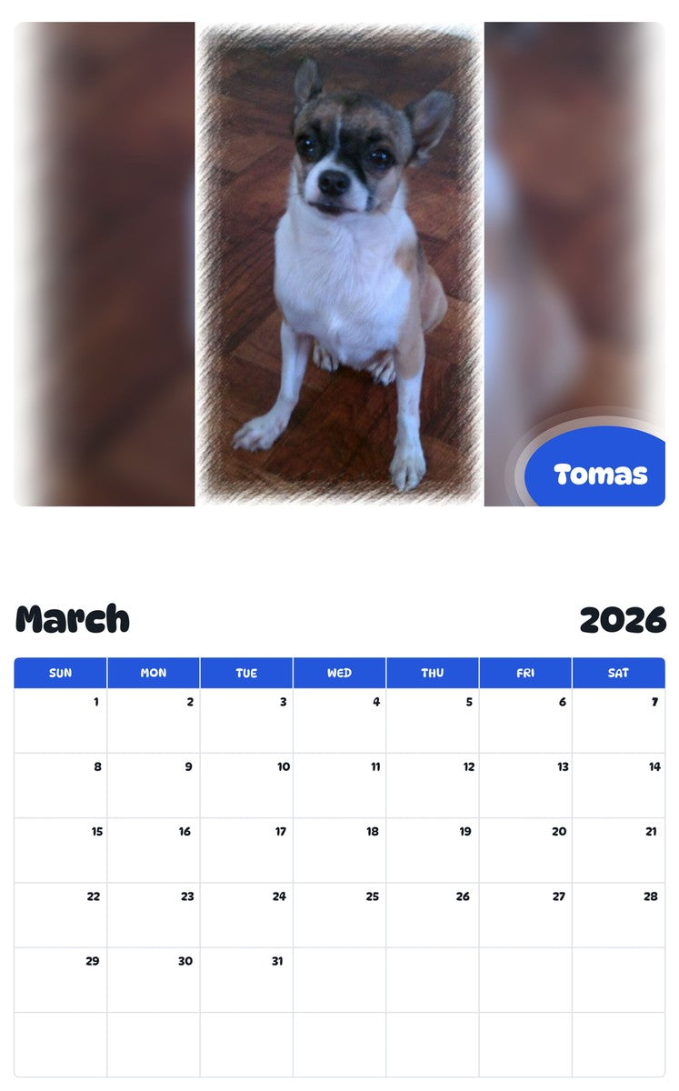 November 2025 - October 2026 Tomas - Pawidols Pet Calendar