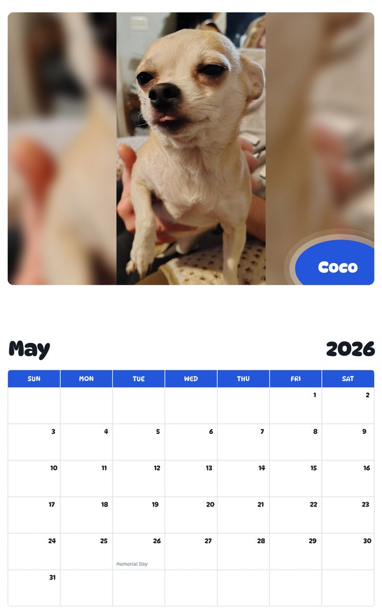 2026 - 2027 Coco - Pawidols Pet Calendar