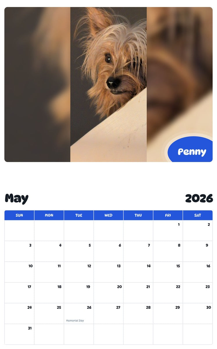 2026 - 2027 Penny - Pawidols Pet Calendar