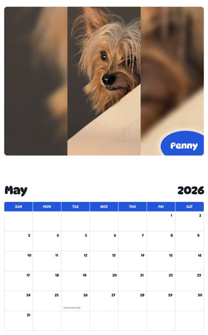 2026 - 2027 Penny - Pawidols Pet Calendar