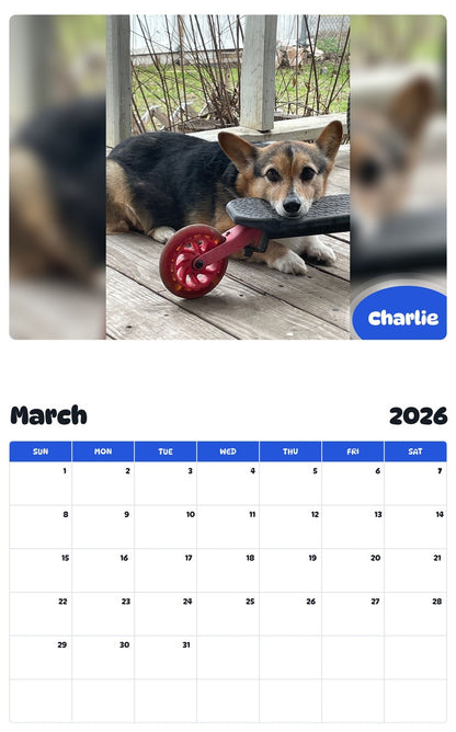 November 2025 - October 2026 Charlie - Pawidols Pet Calendar