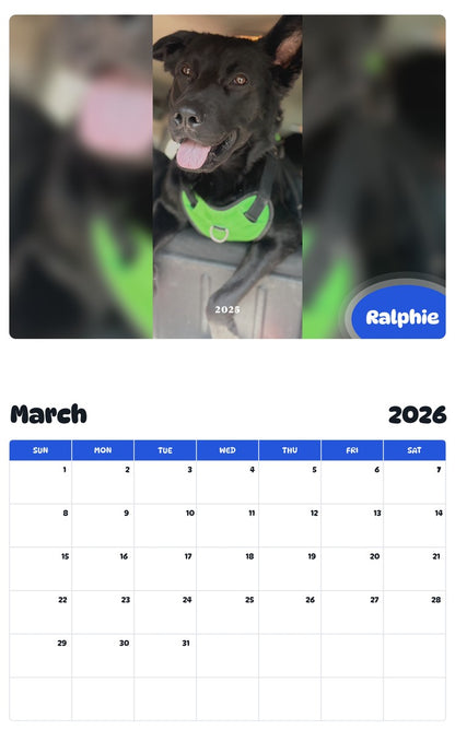 November 2025 - October 2026 Ralphie - Pawidols Pet Calendar