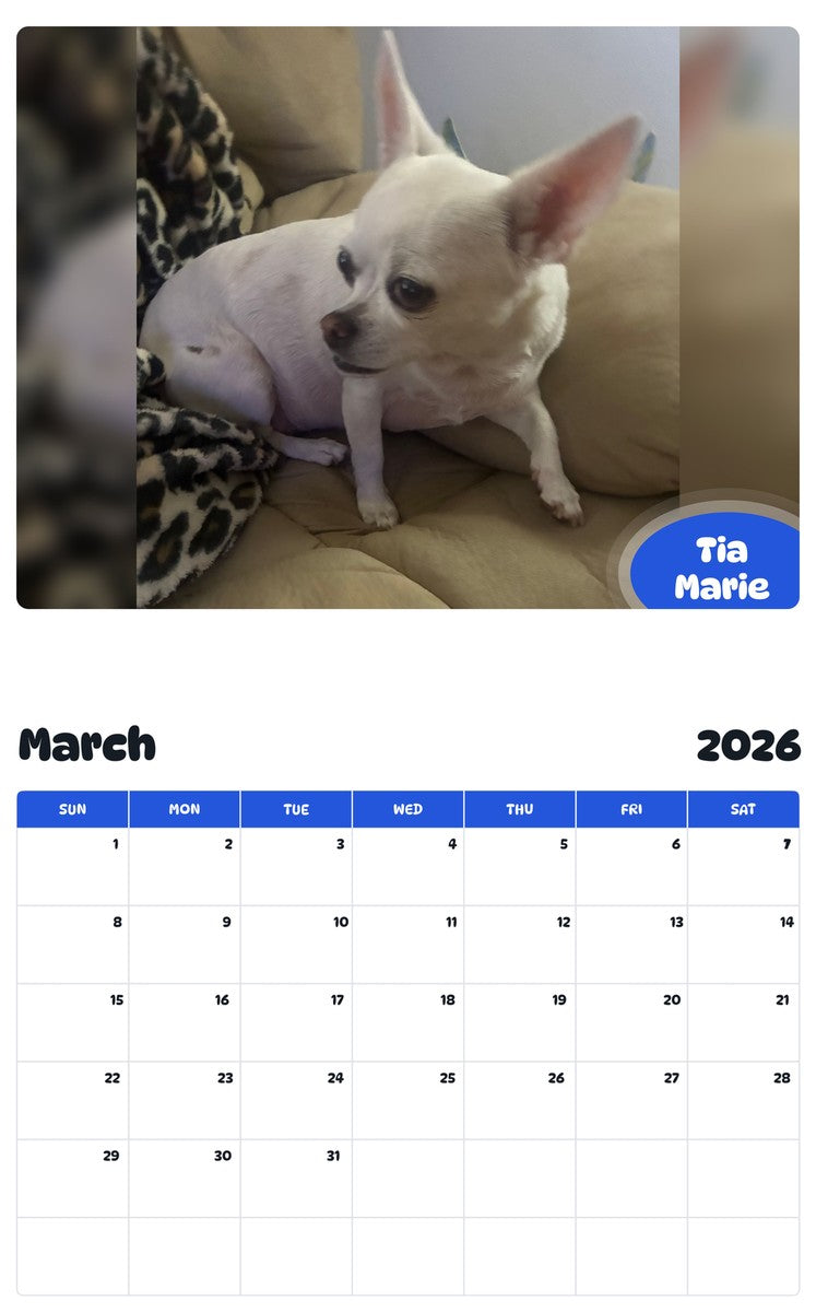 November 2025 - October 2026 Tia Marie - Pawidols Pet Calendar