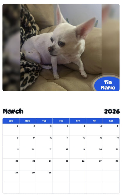 November 2025 - October 2026 Tia Marie - Pawidols Pet Calendar