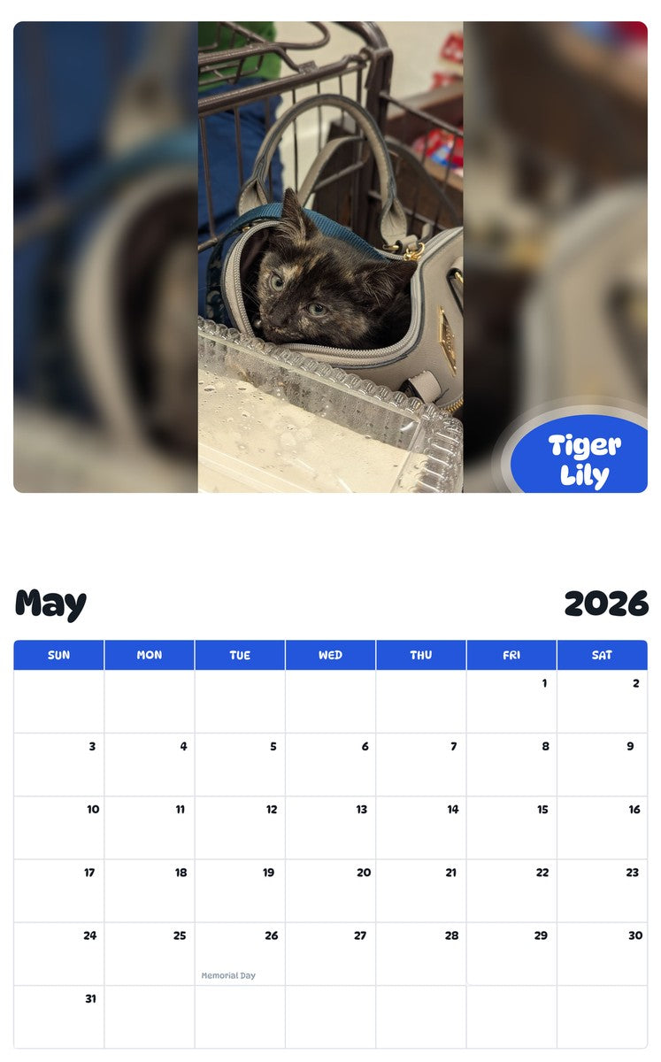 2026 - 2027 Tiger Lily - Pawidols Pet Calendar