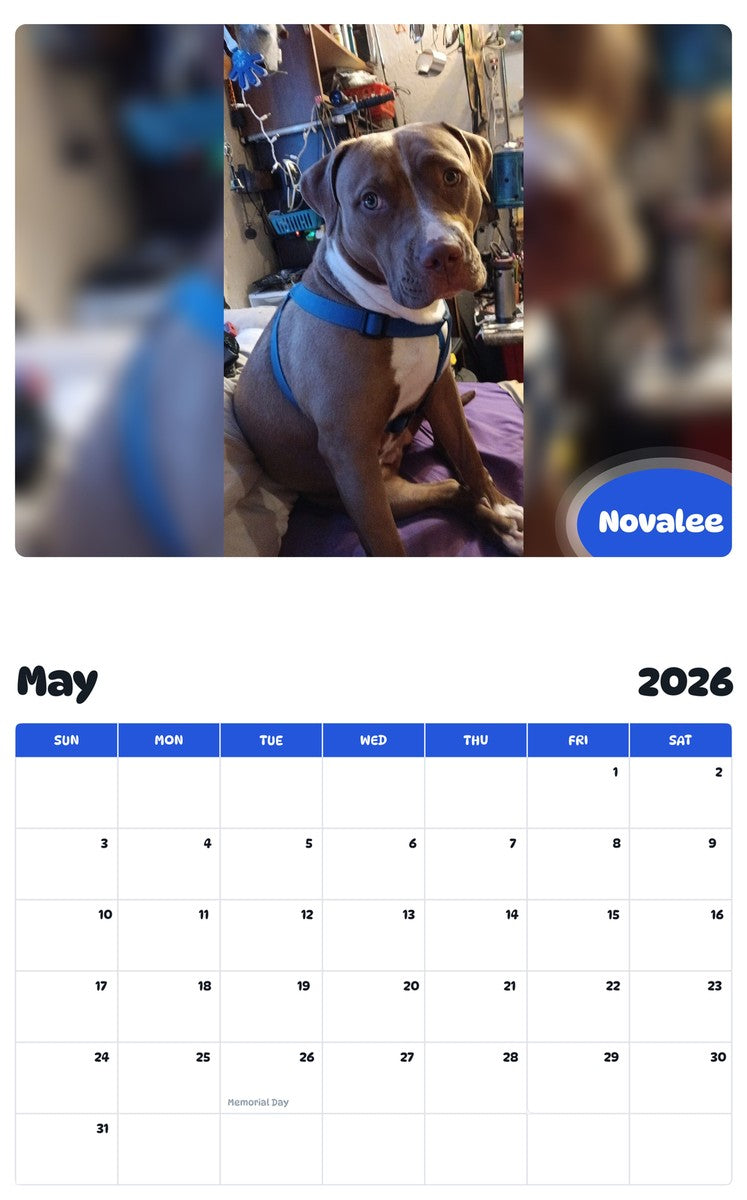 2026 - 2027 Novalee - Pawidols Pet Calendar