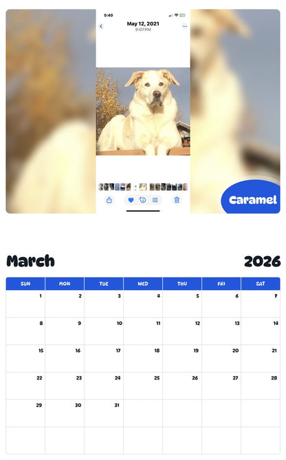 November 2025 - October 2026 Caramel - Pawidols Pet Calendar
