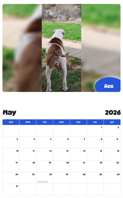2026 - 2027 Ace - Pawidols Pet Calendar