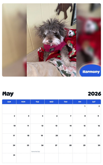 2026 - 2027 Harmony - Pawidols Pet Calendar