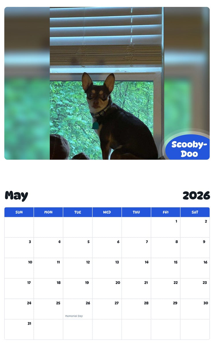 2026 - 2027 Scooby-Doo - Pawidols Pet Calendar