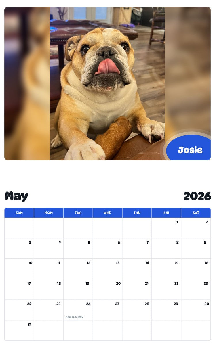 2026 - 2027 Josie - Pawidols Pet Calendar
