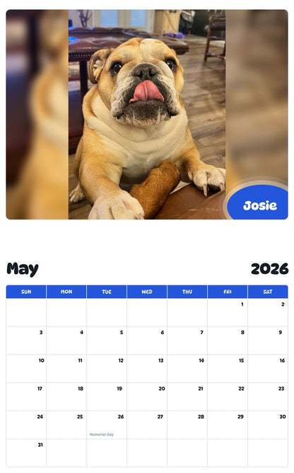 2026 - 2027 Josie - Pawidols Pet Calendar