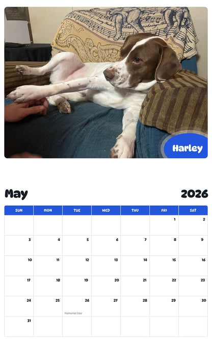 2026 - 2027 Harley - Pawidols Pet Calendar