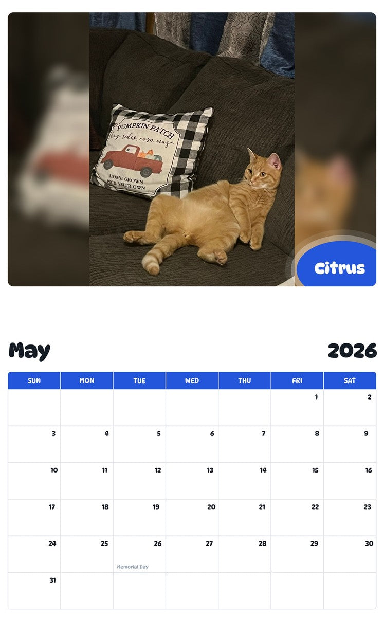 2026 - 2027 Citrus - Pawidols Pet Calendar