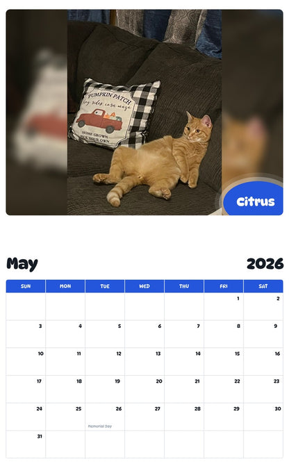 2026 - 2027 Citrus - Pawidols Pet Calendar