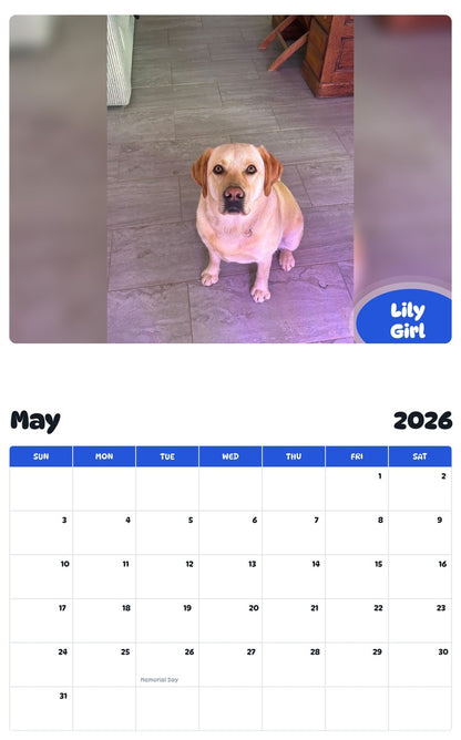 2026 - 2027 Lily Girl - Pawidols Pet Calendar