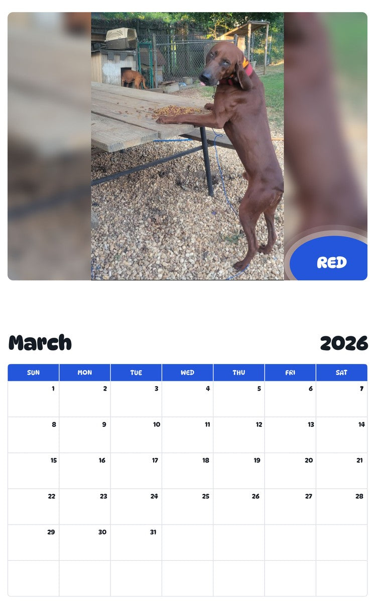 November 2025 - October 2026 RED - Pawidols Pet Calendar