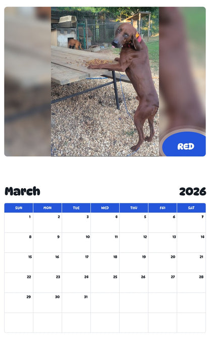 November 2025 - October 2026 RED - Pawidols Pet Calendar
