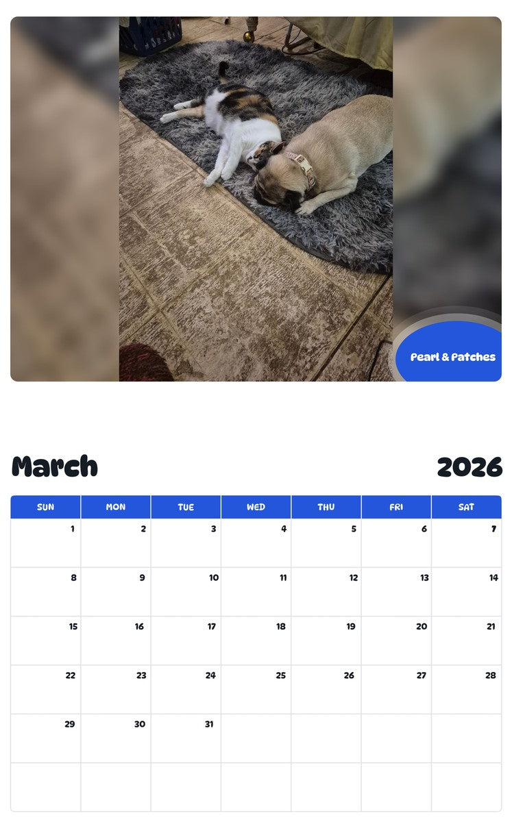 November 2025 - October 2026 Pearl & Patches - Pawidols Pet Calendar