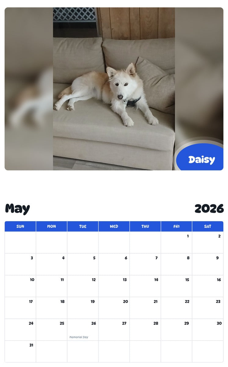2026 - 2027 Daisy - Pawidols Pet Calendar
