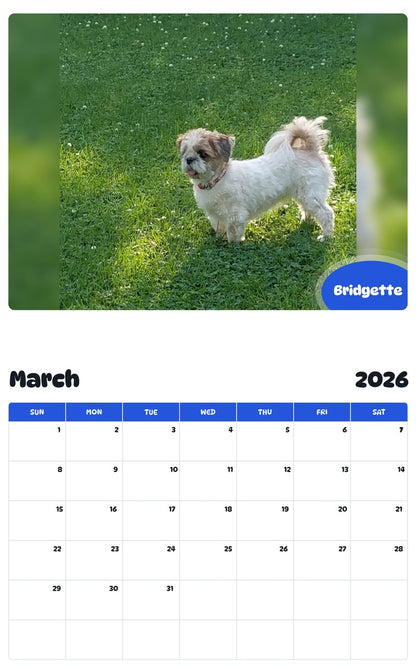 November 2025 - October 2026 Bridgette - Pawidols Pet Calendar