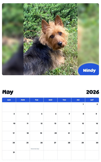 2026 - 2027 Windy - Pawidols Pet Calendar
