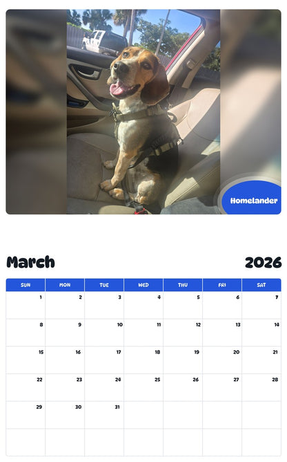 November 2025 - October 2026 Homelander - Pawidols Pet Calendar