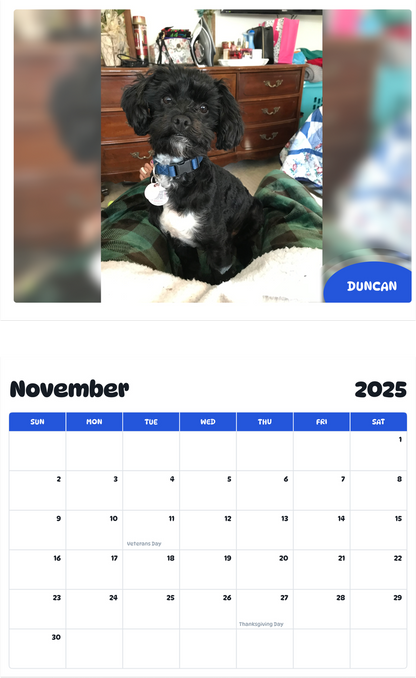 July 2025 - June 2026 Duncan - Pawidols Pet Calendar