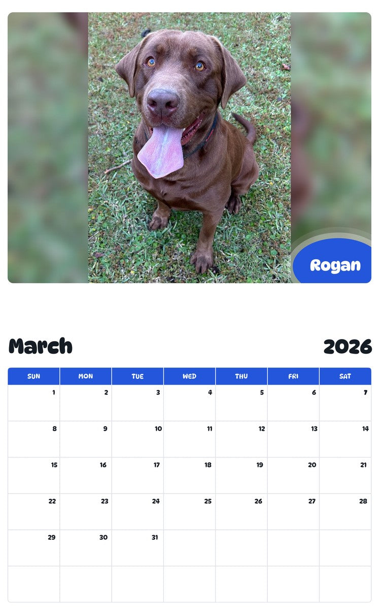 November 2025 - October 2026 Rogan - Pawidols Pet Calendar