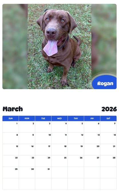 November 2025 - October 2026 Rogan - Pawidols Pet Calendar