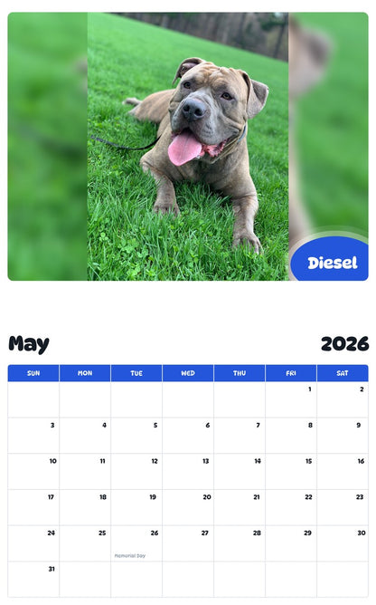 2026 - 2027 Diesel - Pawidols Pet Calendar