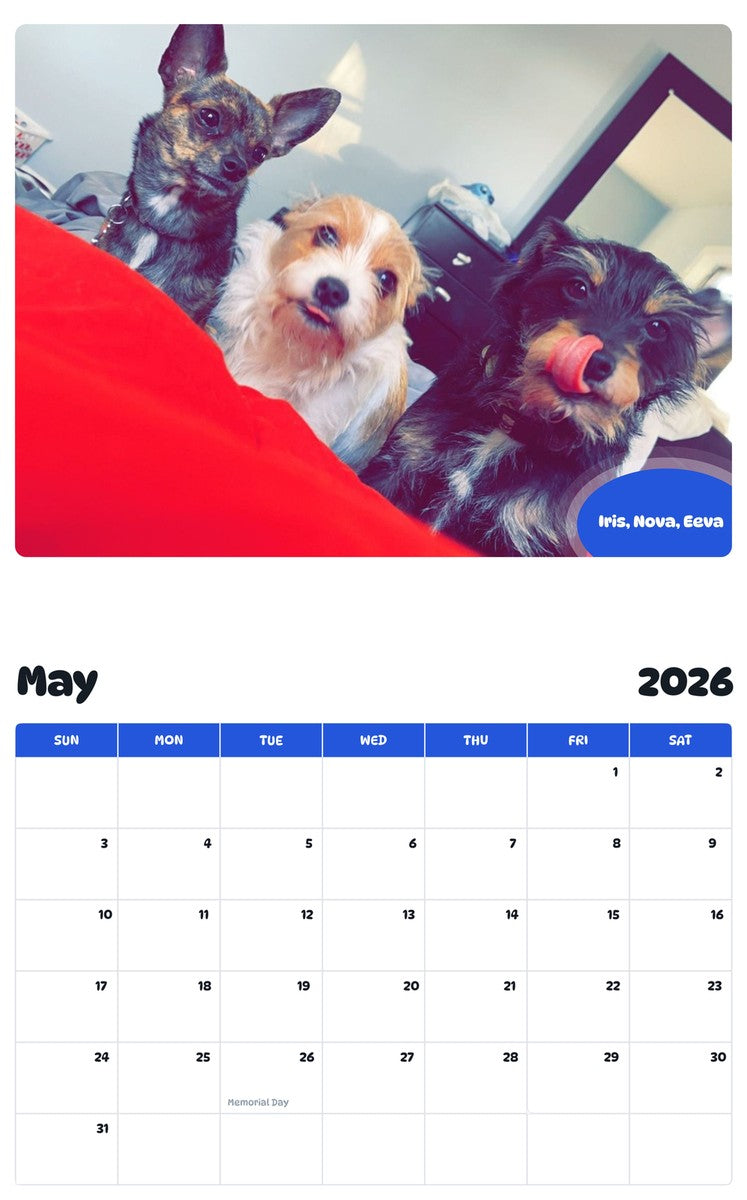 2026 - 2027 Iris, Nova, Eeva - Pawidols Pet Calendar