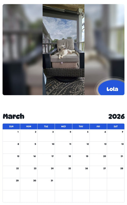 November 2025 - October 2026 Lola - Pawidols Pet Calendar