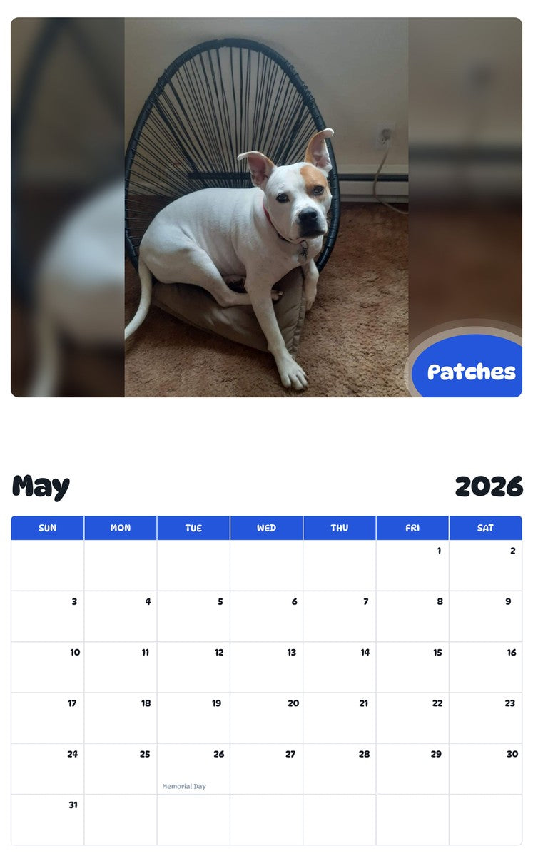 2026 - 2027 Patches - Pawidols Pet Calendar