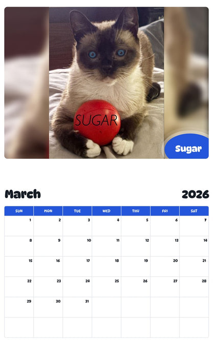 November 2025 - October 2026 Sugar - Pawidols Pet Calendar
