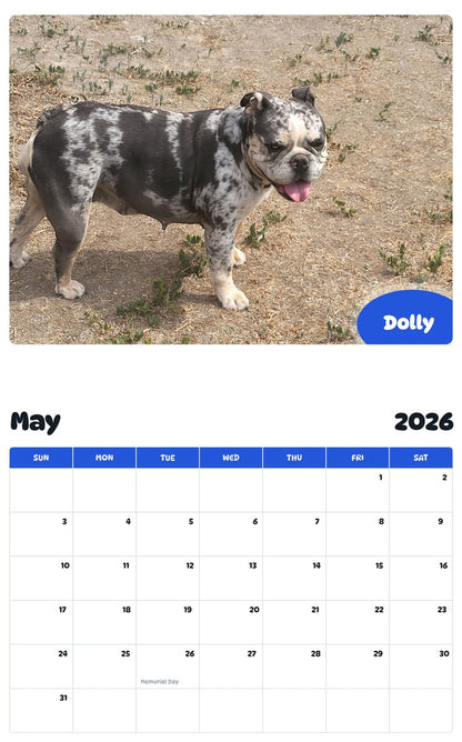 2026 - 2027 Dolly - Pawidols Pet Calendar