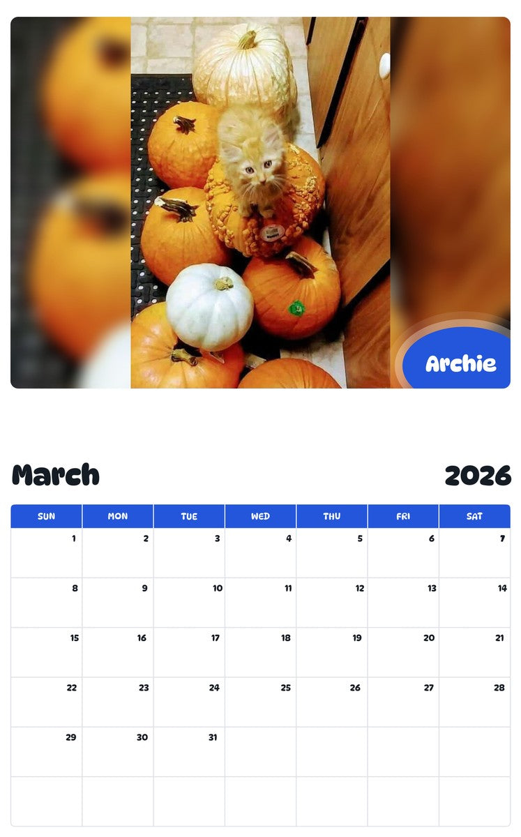 November 2025 - October 2026 Archie - Pawidols Pet Calendar