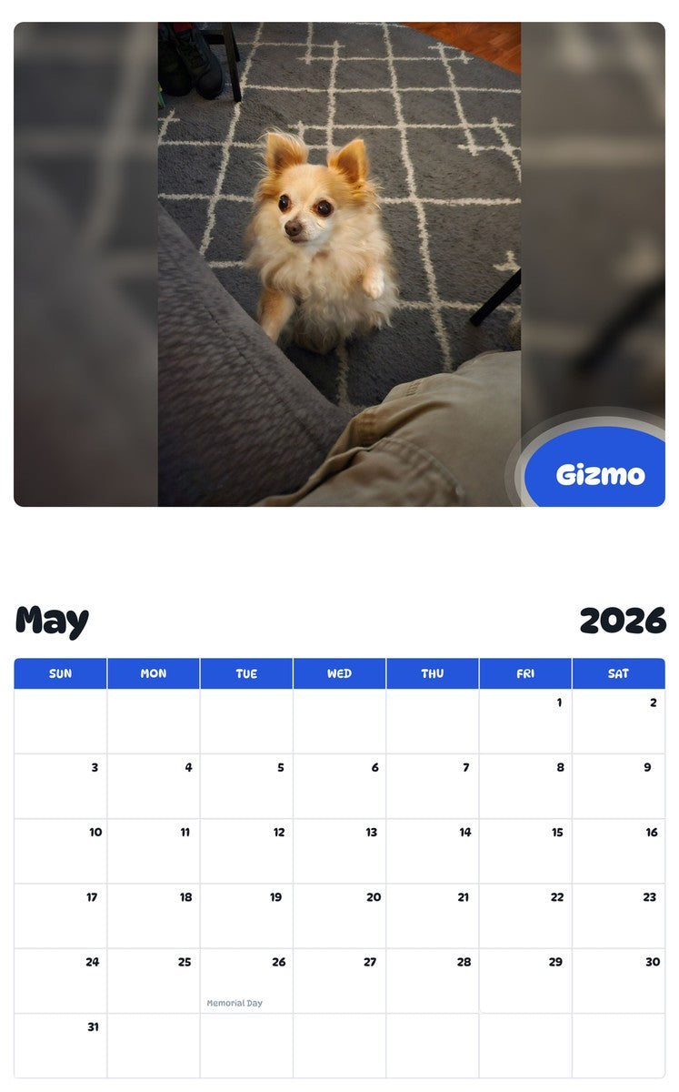 2026 - 2027 Gizmo - Pawidols Pet Calendar
