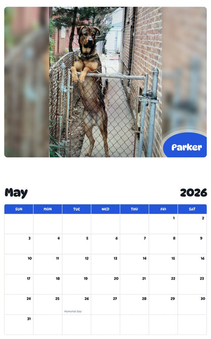 2026 - 2027 Parker - Pawidols Pet Calendar