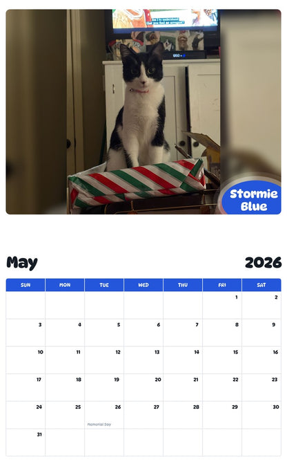 2026 - 2027 Stormie Blue - Pawidols Pet Calendar