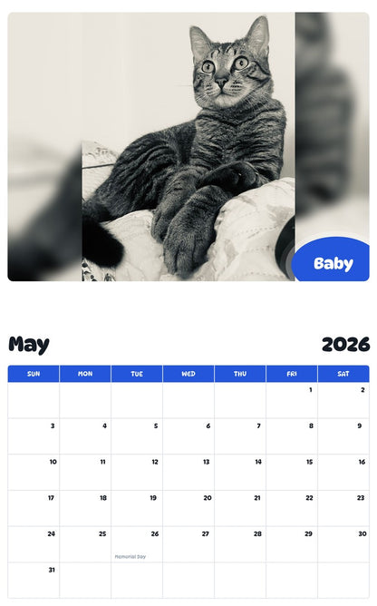 2026 - 2027 Baby - Pawidols Pet Calendar