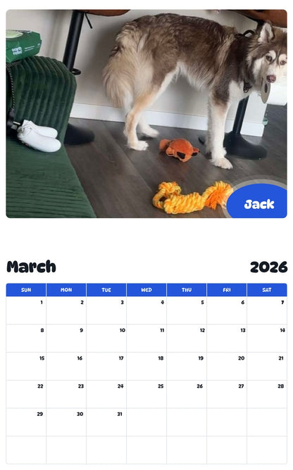 November 2025 - October 2026 Jack - Pawidols Pet Calendar
